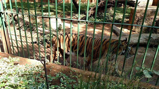 Hartbeespoort Dam Snake and Animal Park